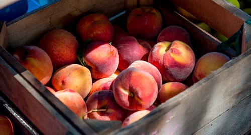 Фото: пресс-служба ФГБУ «ЦОК АПК»